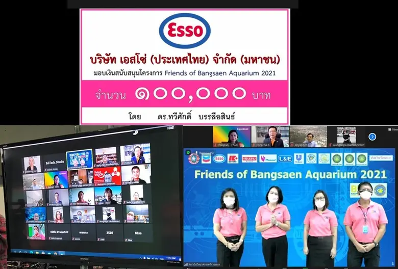 โรงกลั่นน้ำมันเอสโซ่ศรีราชาร่วมกับมหาวิทยาลัยบูรพา ในโครงการ Friends of Bangsaen Aquarium
