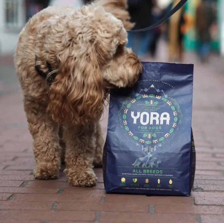 เปิดตัว YORA อาหารสัตว์เลี้ยงเกรดพรีเมี่ยมจากประเทศอังกฤษ ผลิตจากโปรตีนแมลง แบรนด์แรกในประเทศไทย!!!