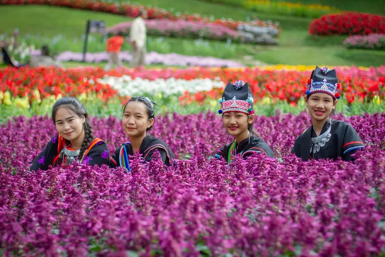 "ดอยตุง" ชวนขึ้นเขาแอ่วงาน "สีสันแห่งดอยตุง ครั้งที่ 8" ค้นหาความสดชื่นของธรรมชาติผ่านโลกดิจิตอล ในเทศกาลความสุขส่งท้ายปี