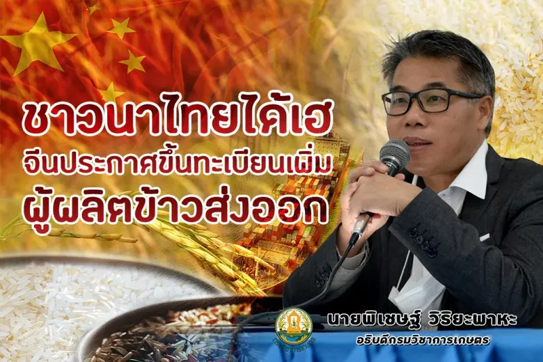 ข้าวไทยผงาด! จีนประกาศขึ้นทะเบียนเพิ่มโรงสีผู้ผลิตข้าวไทยพุ่ง 93 ราย