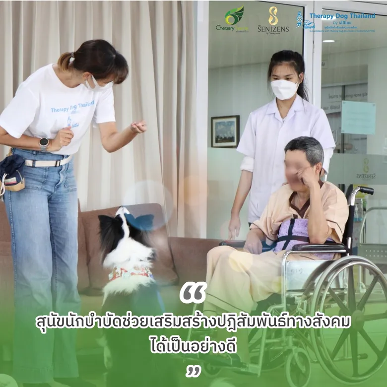 The Senizens จัดโครงการสุนัขนักบำบัดแห่งประเทศไทย โดยบริษัท ออลไฟน์ วิสาหกิจเพื่อสังคม