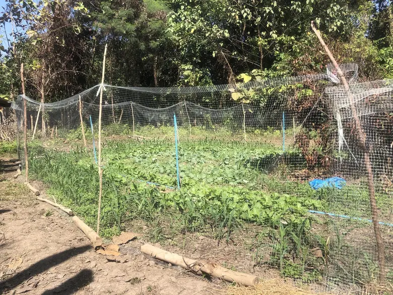 สนพ.แพร่ เตรียมพัฒนาเกษตรกรกลุ่ม young smart farmer ตามโครงการเพิ่มมูลค่าผลิตภัณฑ์แปรรูปเกษตรด้วยเทคโนโลยีและนวัตกรรม