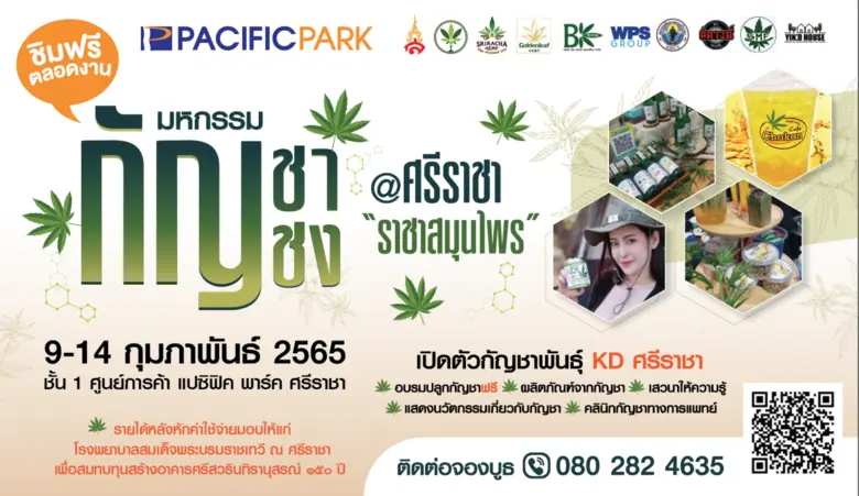 มหกรรมกัญชง-กัญชา "ราชาสมุนไพร" @ ศรีราชา (ศูนย์การค้าแปซิฟิค พาร์ค ศรีราชา)