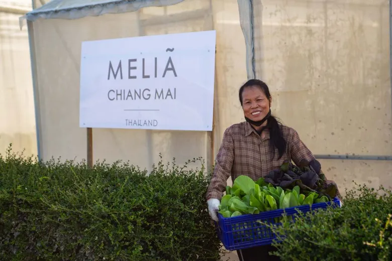 โรงแรม มีเลีย เชียงใหม่ ริเริ่มโปรแกรมครัว 360 องศา อาหารสดใหม่ใช้วัตถุดิบทุกส่วนจากฟาร์มท้องถิ่น