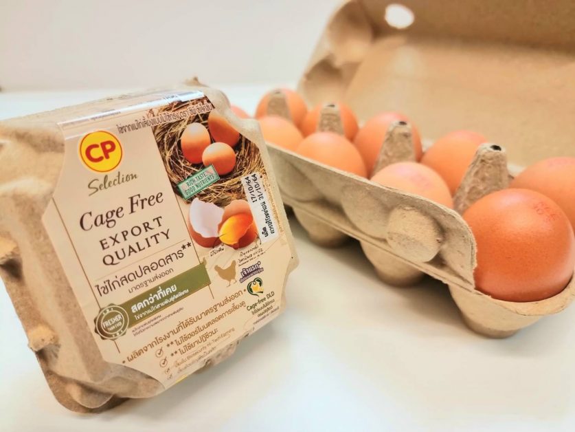 ซีพีเอฟ เดินหน้ายกระดับมาตรฐานสวัสดิภาพสัตว์ ผลิตไข่ไก่ Cage Free เพิ่มเป็น 20 ล้านฟอง ในปี 65
