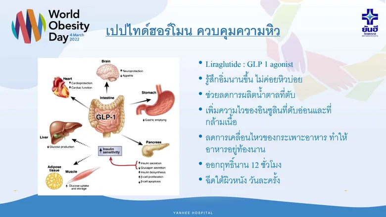 "ยันฮี" แนะวิธีรักษาตรงจุด หยุดวิกฤติโรคอ้วน เนื่องในวันโรคอ้วนโลก ประจำปี 2565