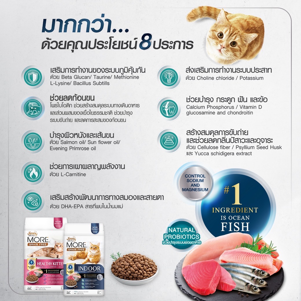JerHigh & Jinny เปิดตัว 'Jinny More' Grain Free รุกตลาดอาหารเม็ดสำหรับน้องแมวสุดเลิฟ