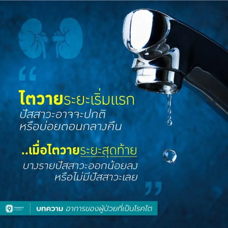 รู้ทันทุกอาการและสาเหตุ "โรคไต" ตัดวงจรโรคร้าย ก่อนสายเกินไป