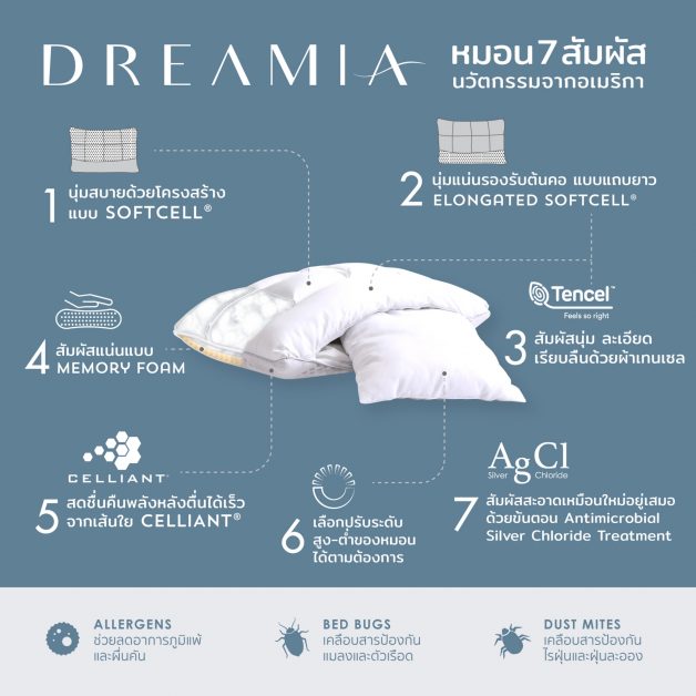 'แค่เปลี่ยนหมอน ชีวิตก็เปลี่ยน' มาร่วมเฉลิมฉลองวันนอนหลับโลก (World Sleep Day) กับ 7 เคล็ดลับจากนวัตกรรมหมอนไฮบริด 'DREAMIA' ที่จะช่วยให้การนอนหลับยากของคุณเป็นเรื่องจิ๊บๆ
