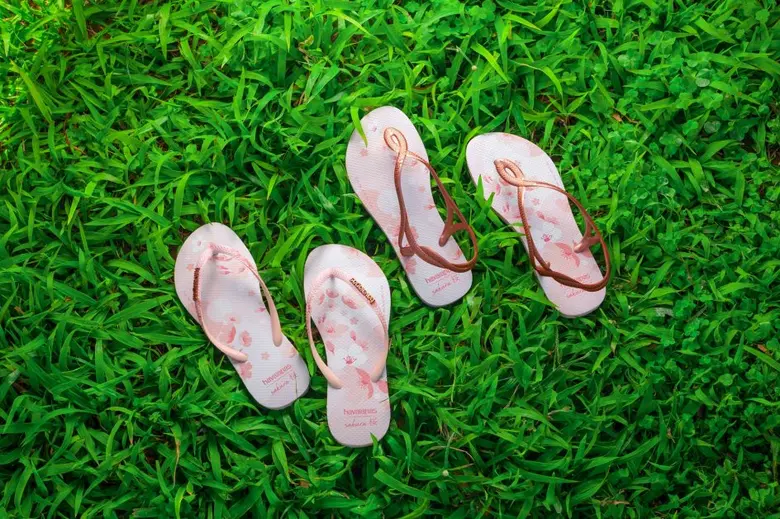 Havaianas เปิดตัวคอลเลกชันใหม่ 15 มี.ค.นี้   "Sakura Special Collection Blooming with Sakura"