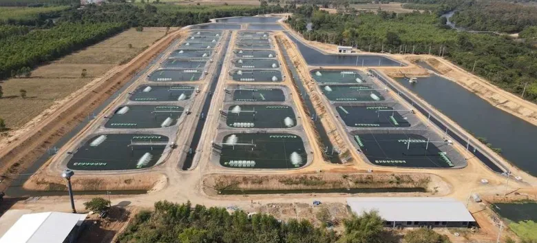 ซีพีเอฟ ยกระดับการเลี้ยงปลารูปแบบ CARE Aquaculture Model สร้างความปลอดภัยทางอาหารและสิ่งแวดล้อม