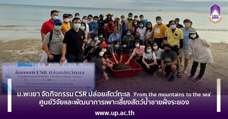 ม.พะเยา จัดกิจกรรม CSR ปล่อยสัตว์ทะเล 'From the mountains to the sea' ศูนย์วิจัยและพัฒนาการเพาะเลี้ยงสัตว์น้ำชายฝั่งระยอง