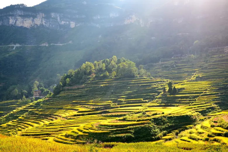 รายงานโดย iChongqing "นครฉงชิ่งเป็นตัวเลื...