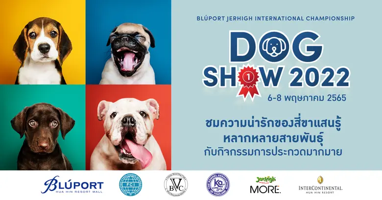 บลูพอร์ต หัวหิน ร่วมกับ ชมรม Variety Breed Dog Club เอาใจคนรักสุข จัดงาน Bluport Jerhigh International Championship Dog Show 2022 ชมการประกวดสุนัขหลากหลายสายพันธุ์ตามหลักเกณฑ์ของสมาพันธุ์สุนัขโลก 6-8 พฤษภาคม 2565 นี้