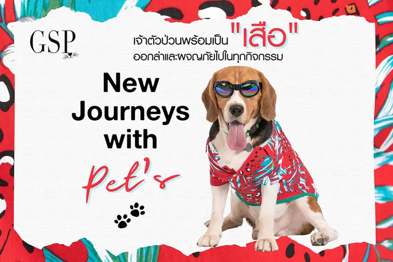 เปิดประเทศครั้งนี้ เตรียมตัวเที่ยวรับซัมเมอร์ บูติค...