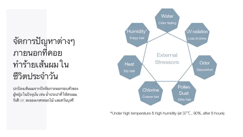 ชิเซโด้ โปรเฟสชั่นแนล (ไทยแลนด์) ผู้นำเข้...
