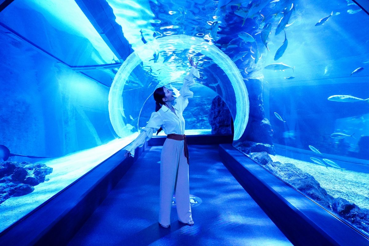 แอ่งหิน (Rock Pool) คือ ความมหัศจรรย์ของธรรมชาติทาง...