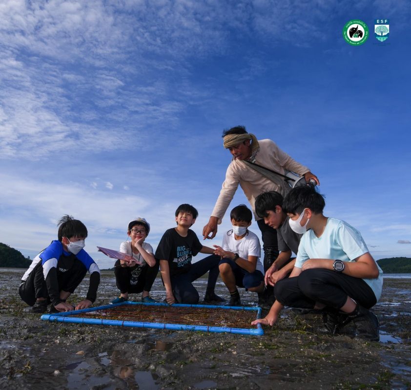 ค่ายเพื่อสิ่งแวดล้อมและสังคม Environmenta...