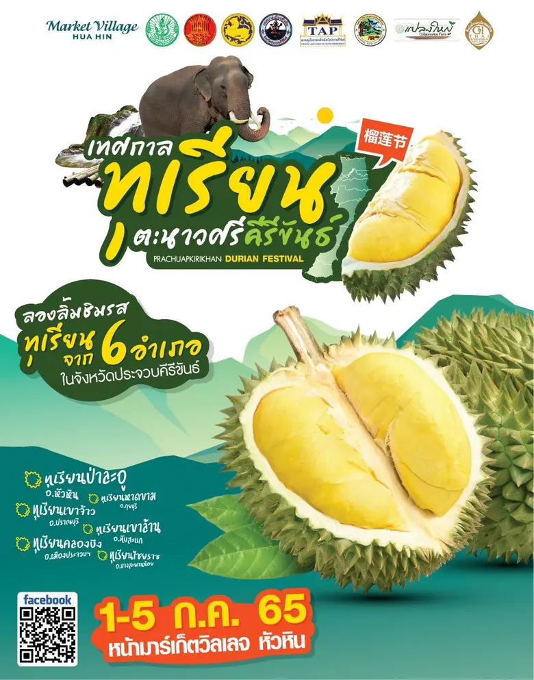 Welcome To "Prachuapkhirikhan Durian Fest...