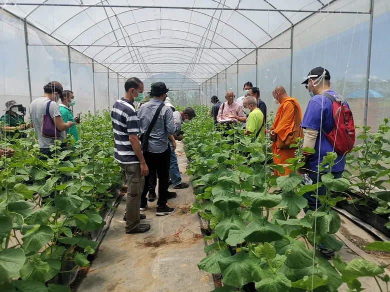เจียไต๋เปิดสถานีวิจัย ต้อนรับคณะศึกษาดูงาน เรียนรู้ "โรงเรือน" เทคโนโลยีการเพาะปลูกเพื่อเกษตรสมัยใหม่