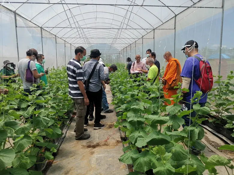 เจียไต๋เปิดสถานีวิจัย ต้อนรับคณะศึกษาดูงาน เรียนรู้ "โรงเรือน" เทคโนโลยีการเพาะปลูกเพื่อเกษตรสมัยใหม่