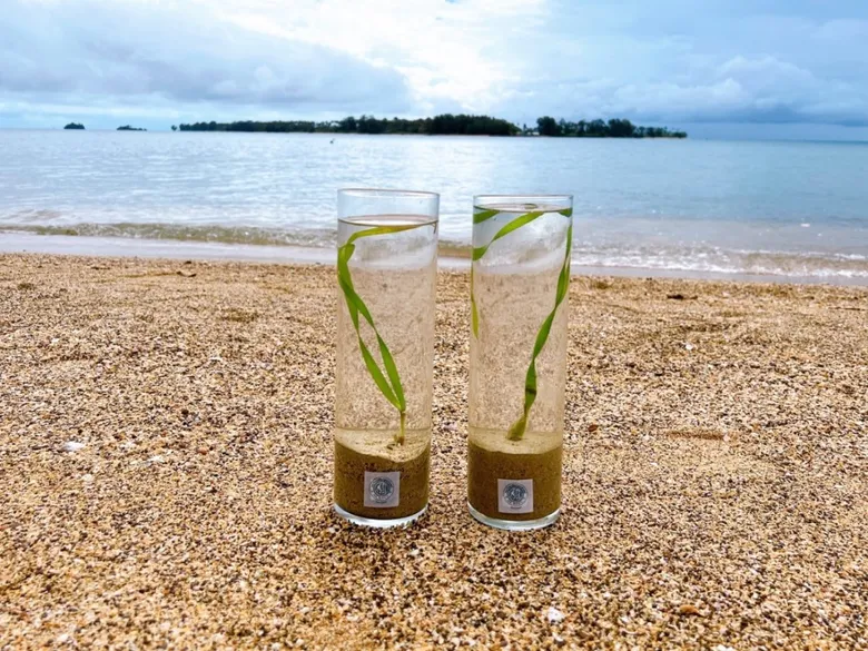 กลุ่มบางจากฯ ร่วมขับเคลื่อนประเทศสู่สังคมคาร์บอนต่ำ มุ่งสู่ Net Zero ในปี 2050 ด้วยแผน "BCP NET"