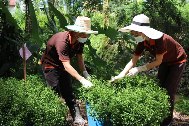 โรงแรมเฮอริเทจ เชียงราย โฮเทล แอนด์ คอนเวนชั่น ชวนเติมพลัง "Green Energy"