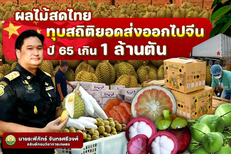กรมวิชาการเกษตร เผยยอดส่งออกผลไม้สดไทยไปจ...
