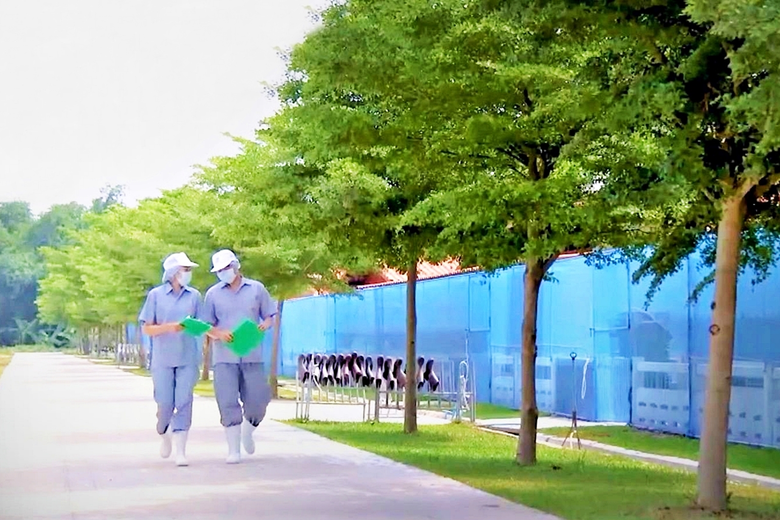 CPF เดินหน้า "Greenfarm" ฟาร์มรักษ์โลก ดันใช้ "ไบโอแก๊ส-โซลาร์ฟาร์ม" เป็นพลังงานทดแทน