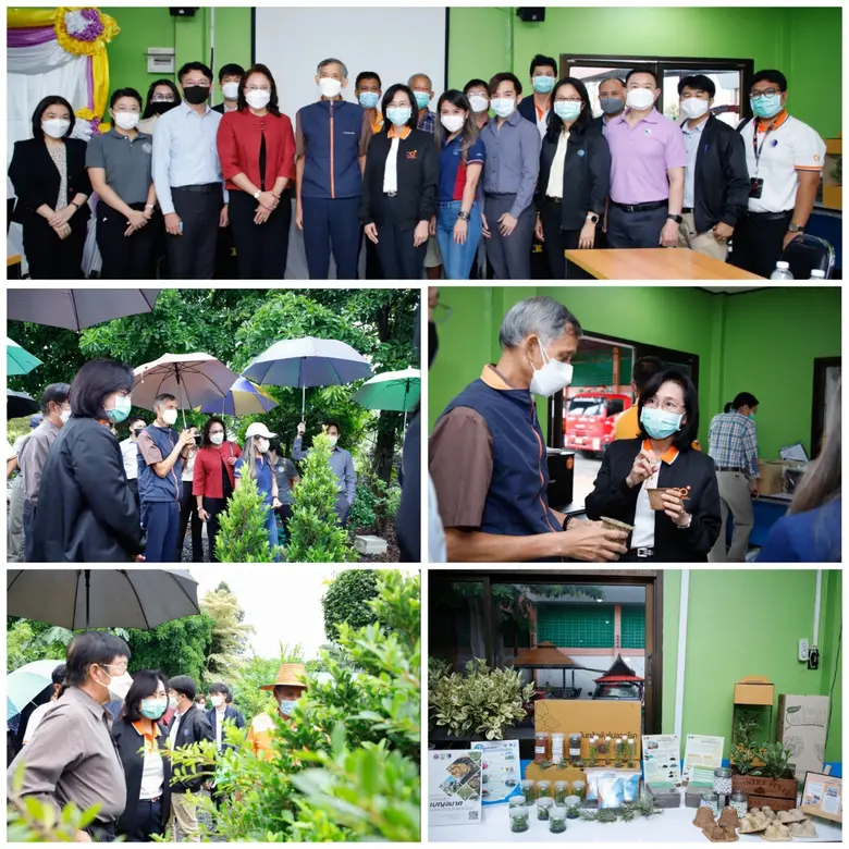 วว. โชว์ผลงานพัฒนาตลาดไม้ดอกไม้ประดับ "พืชสกุลไทร" ...