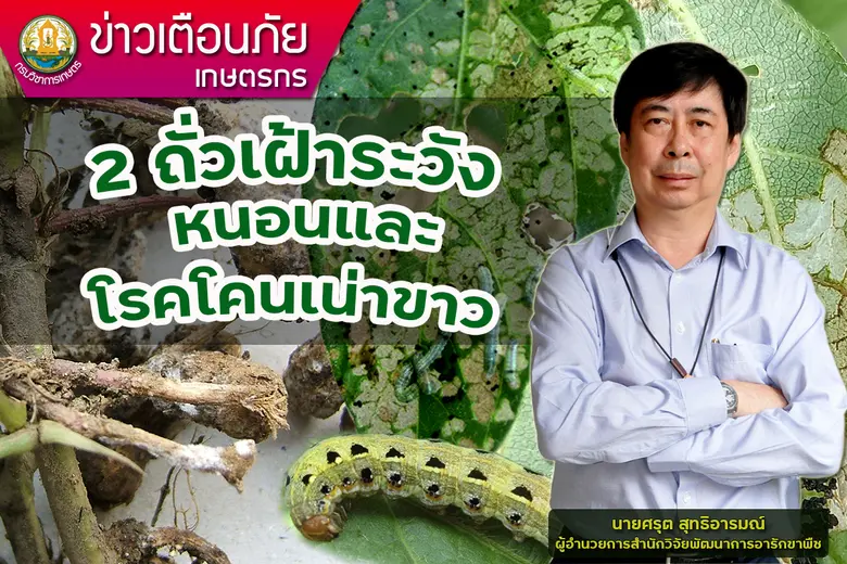 นายศรุต สุทธิอารมณ์ ผู้อำนวยการสำนักวิจัย...