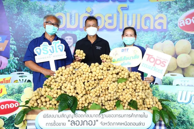 'ท็อปส์' สร้างคุณภาพชีวิตที่ดีอย่างยั่งยืนให้เกษตรกรไทย รับซื้อตรงผลผลิต "ลองกอง" ช่วยชาวอุตรดิตถ์ และ สุโขทัย กว่า 100 ครัวเรือน มีรายได้เพิ่มมากขึ้น