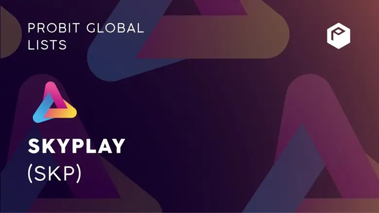 บริษัท สกายเพลย์ อิงค์ (SKYPLAY Inc.) ประ...