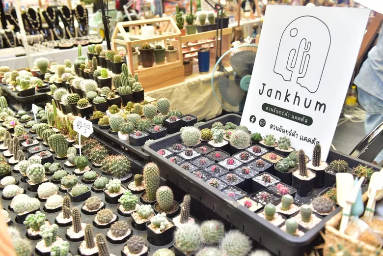 จุดนัดพบแห่งใหม่สำหรับสายกรีน และคนรักงานคราฟต์ ในงาน "MEGA GREEN & CRAFT WEEKEND MARKET" ระหว่างวันที่ 9-11, 23-25, 30 กันยายน และ 1-2 ตุลาคม 2565