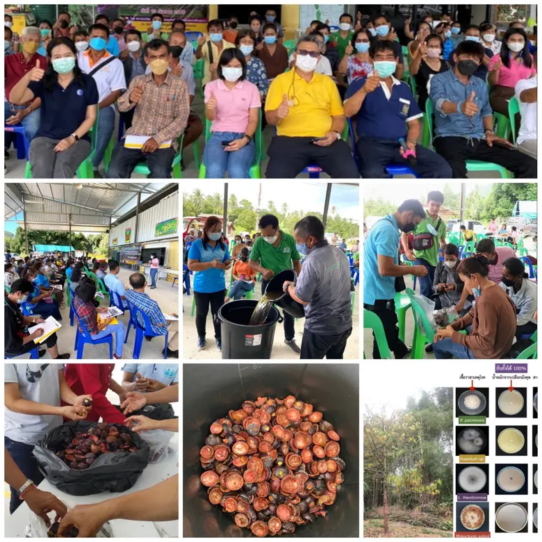 กระทรวงการอุดมศึกษา วิทยาศาสตร์ วิจัยและน...