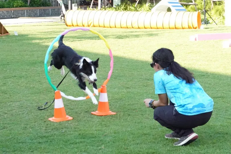 เมกาบางนา ชวนรวมพลคนรักสัตว์ ในงาน "MEGA PET DAY 2022 : SCHOOL OF PETS" ระหว่างวันที่ 15 -16 ตุลาคม 2565 ณ เมกา พาร์ค ศูนย์การค้าเมกาบางนา