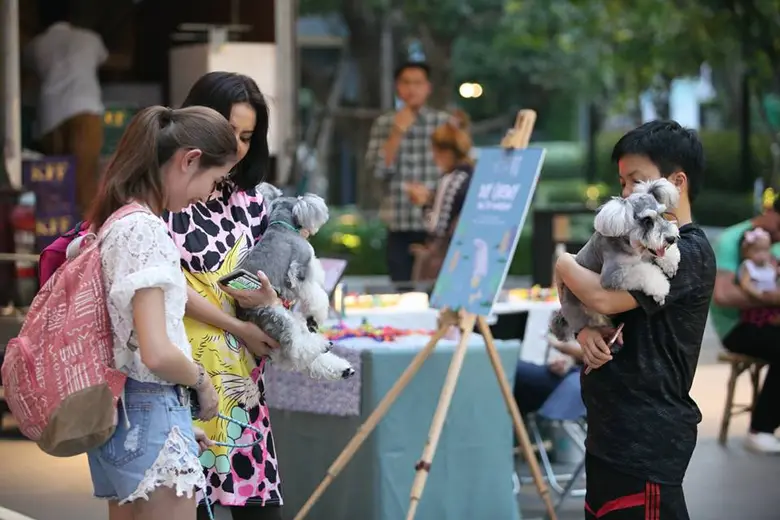 ครั้งแรก! "SANSIRI SPOOKY RUN FUN COMMUNITY" สนุกกับงานวิ่งมินิมาราธอนของคนและน้องหมา ในแบบ Trick or Treat 30 ต.ค.นี้ ที่ แสนสิริ กรุงเทพกรีฑา คอมมูนิตี้