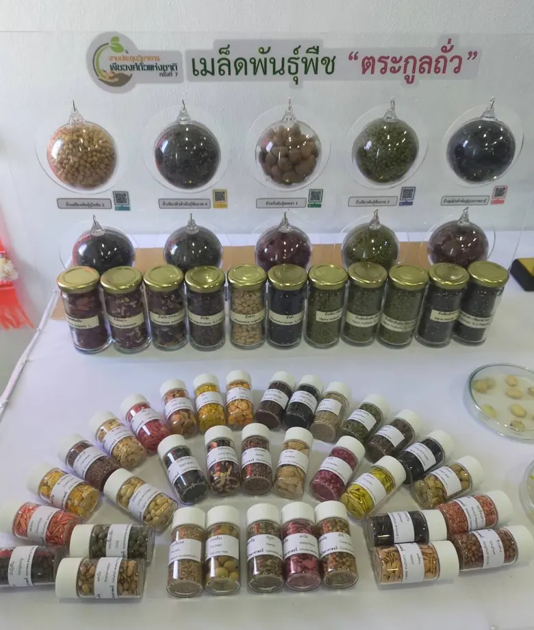 กรมวิชาการเกษตรเร่งขับเคลื่อนไทยเป็นศูนย์กลางเมล็ดพันธุ์ภูมิภาคเอเชียและแปซิฟิกและผู้นำด้านเมล็ดพันธุ์พืชผักเขตร้อนคุณภาพสูงของโลก