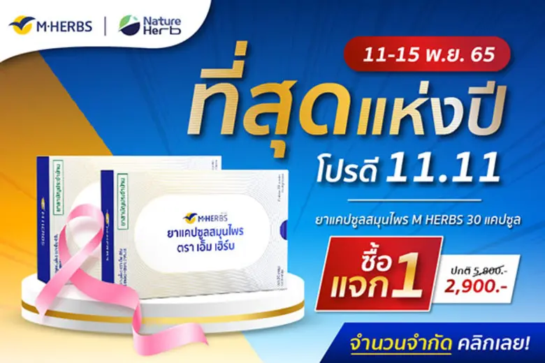 บริษัท เนเจอร์ เฮิร์บ อินเตอร์เนชั่นแนล โ...