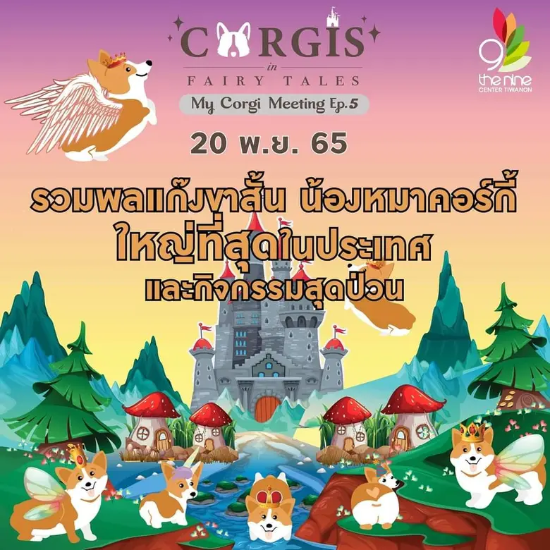 Corgis Lover มารวมกันตรงนี้! ที่ เดอะไนน์...