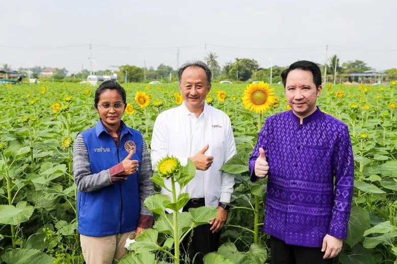 ซีพีแรม พร้อมเปิดแลนด์มาร์คจังหวัดปทุมธานี จัดงาน "ทานตะวันบานสะพรั่งทั่วระแหง" ครั้งที่ 3