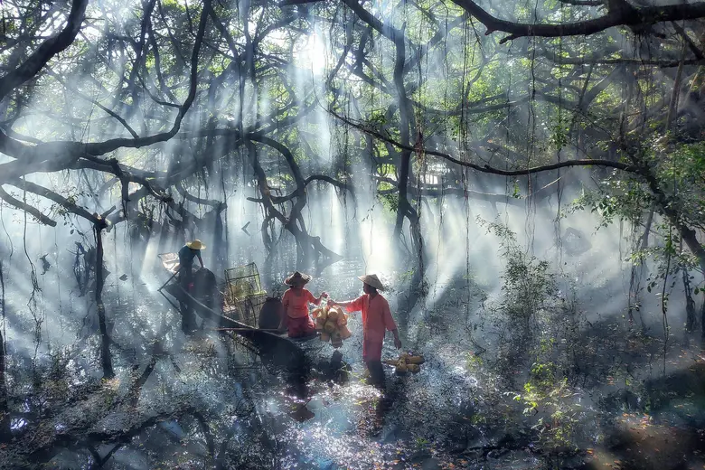 เสียวหมี่ประกาศรางวัลผู้ชนะ Xiaomi Imagery Awards 2022!