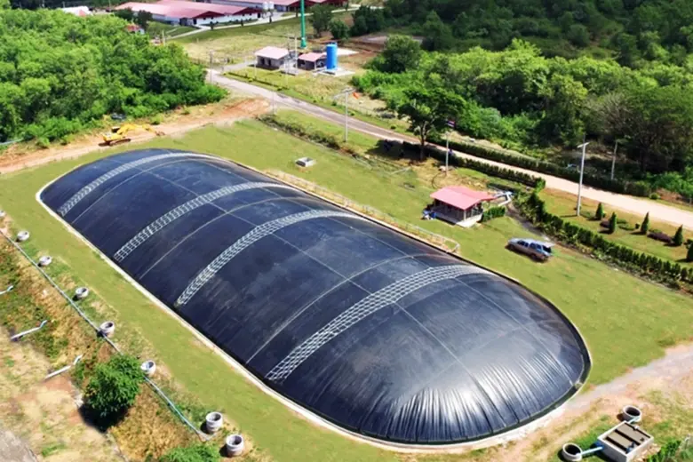CPF โชว์ความสำเร็จ ระบบ "ไบโอแก๊ส" หนุนปศุสัตว์รักษ์โลก ตามแนวทาง BCG  Model
