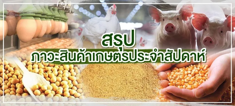 สรุปภาวะสินค้าเกษตรประจำสัปดาห์ วันที่ 28 พฤศจิกายน - 2 ธันวาคม 2565