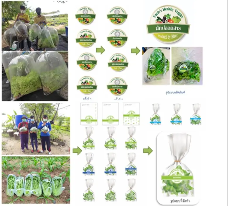 วว. ขับเคลื่อนโครงการศูนย์ BCG Farming @ เกาะสมุย ต้นแบบเพื่อการสร้างชุมชนพึ่งพาตนเองได้อย่างยั่งยืน
