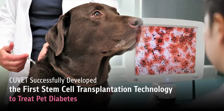 For the first time in Thailand, a researc...