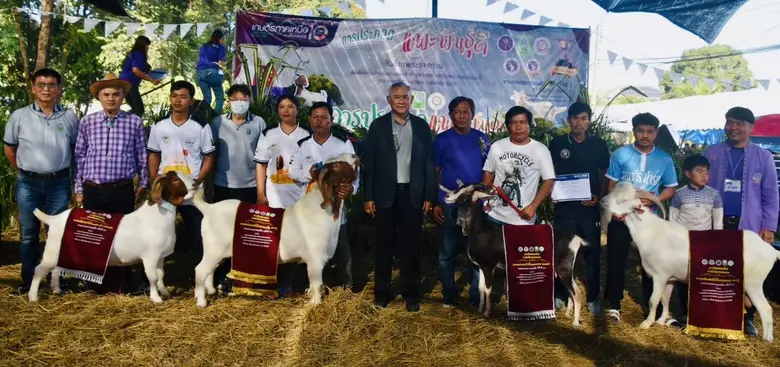 วช. มช. ร่วมกับ ค.พ.ท. ประกวดแพะ ชิงถ้วยรางวัลพระราชทาน ในงาน "เกษตรภาคเหนือ ครั้งที่ 10"