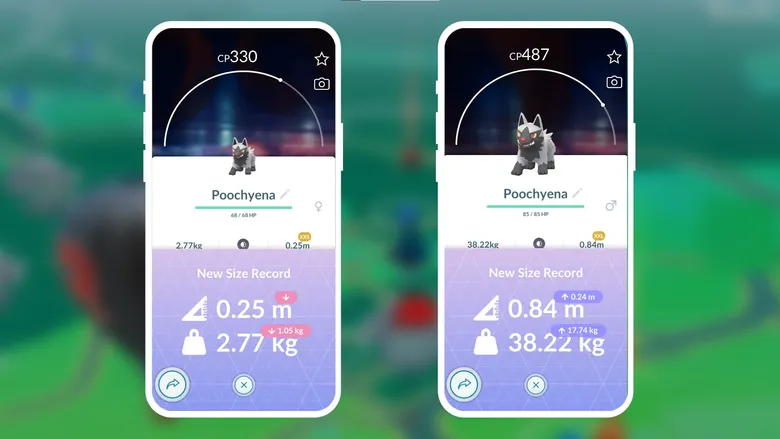 พบกับโปเกมอนหลากหลายขนาดใน Pokemon GO!