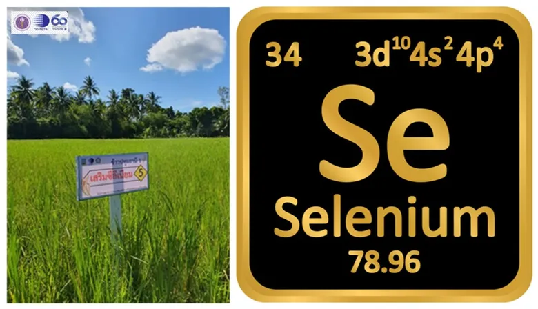 วว. เตรียมจัดประชุม The 7th International Conference on Selenium in the Environment and Human Health