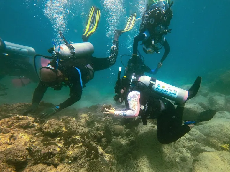 ซีพี ออลล์ ร่วมกับชมรมดำน้ำเพื่อการอนุรักษ์ ( PhaNgan Sea Guardian ) และ Kong Gang Diving สร้างนักดำน้ำหัวใจอนุรักษ์ท้องทะเลไทย